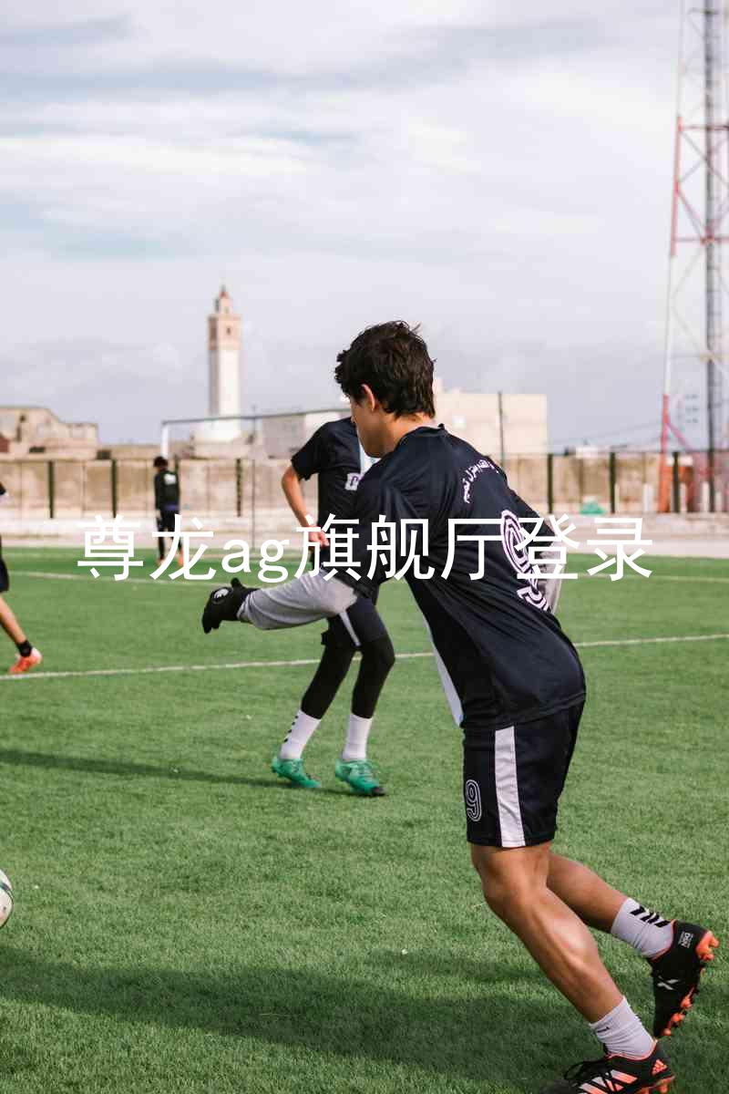 尊龙ag旗舰厅登录