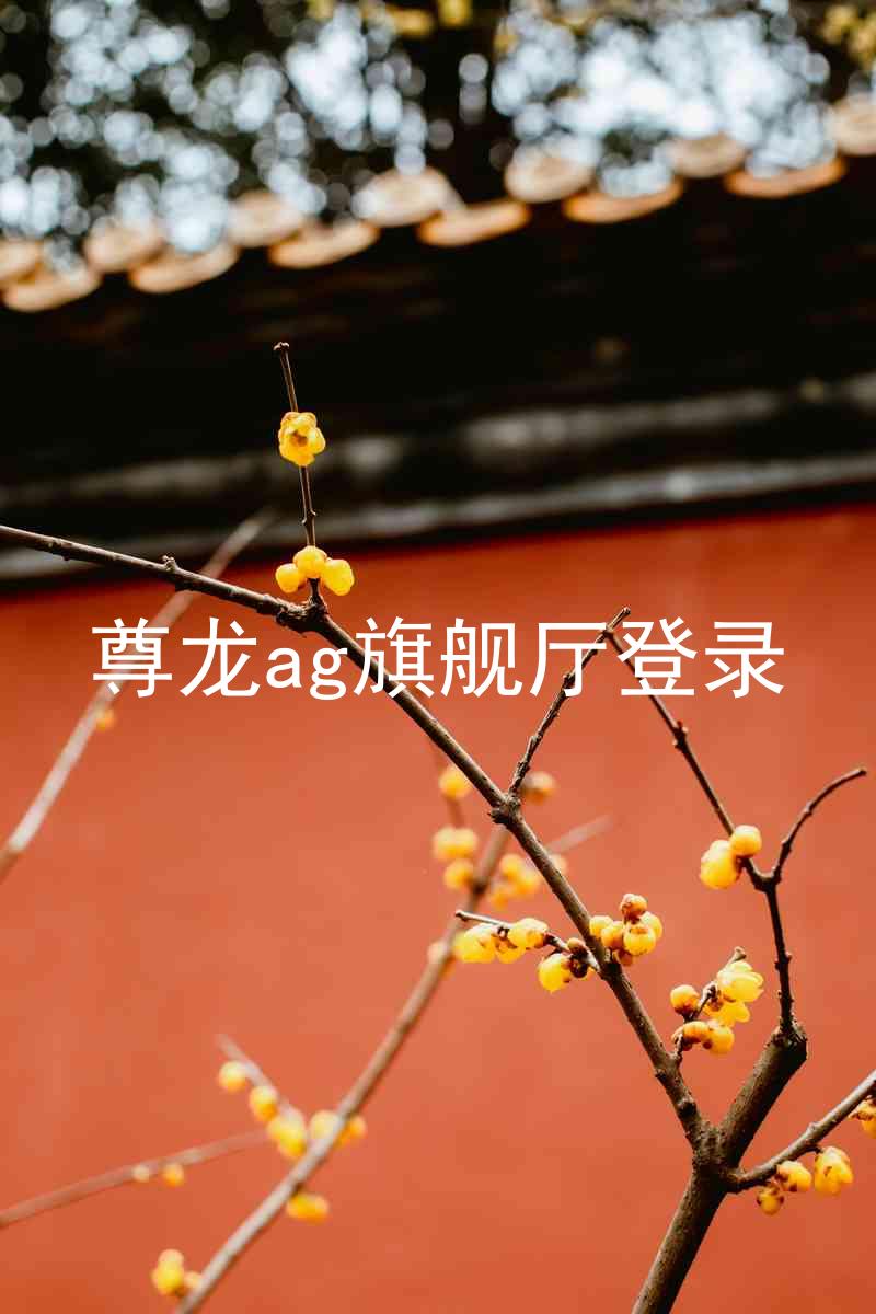 尊龙ag旗舰厅登录